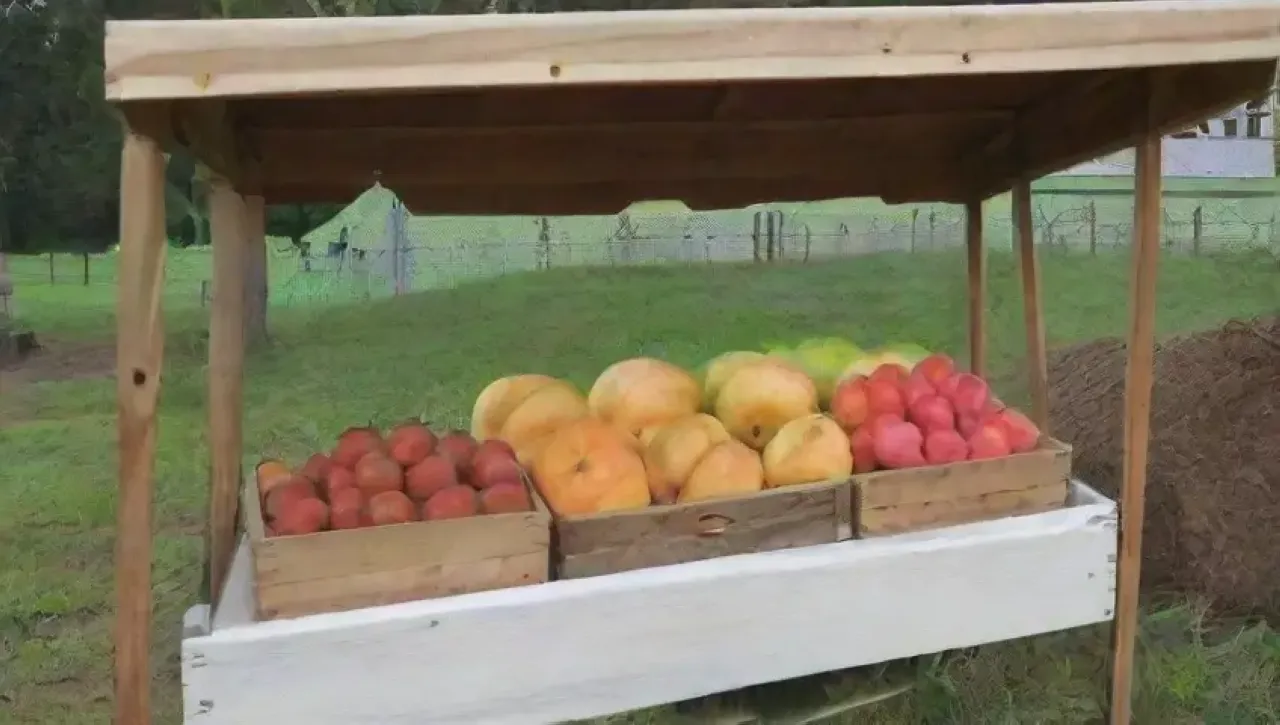 Un vibrante huerto orgánico lleno de frutas frescas y prácticas sostenibles