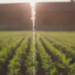 Conectando sensores de temperatura a sistemas de riego