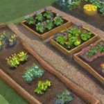 Cómo diseñar un huerto que minimice la erosión del suelo