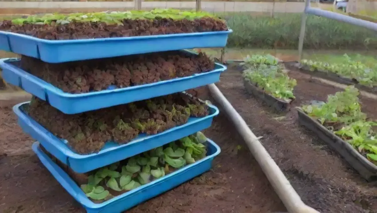 Un vibrante invernadero urbano lleno de plantas frescas y coloridas