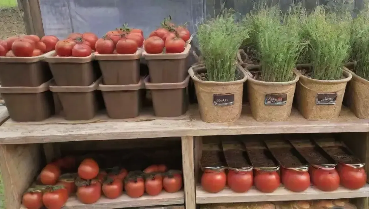 Un mercado vibrante y acogedor lleno de legumbres frescas, aromas de tierra y risas familiares