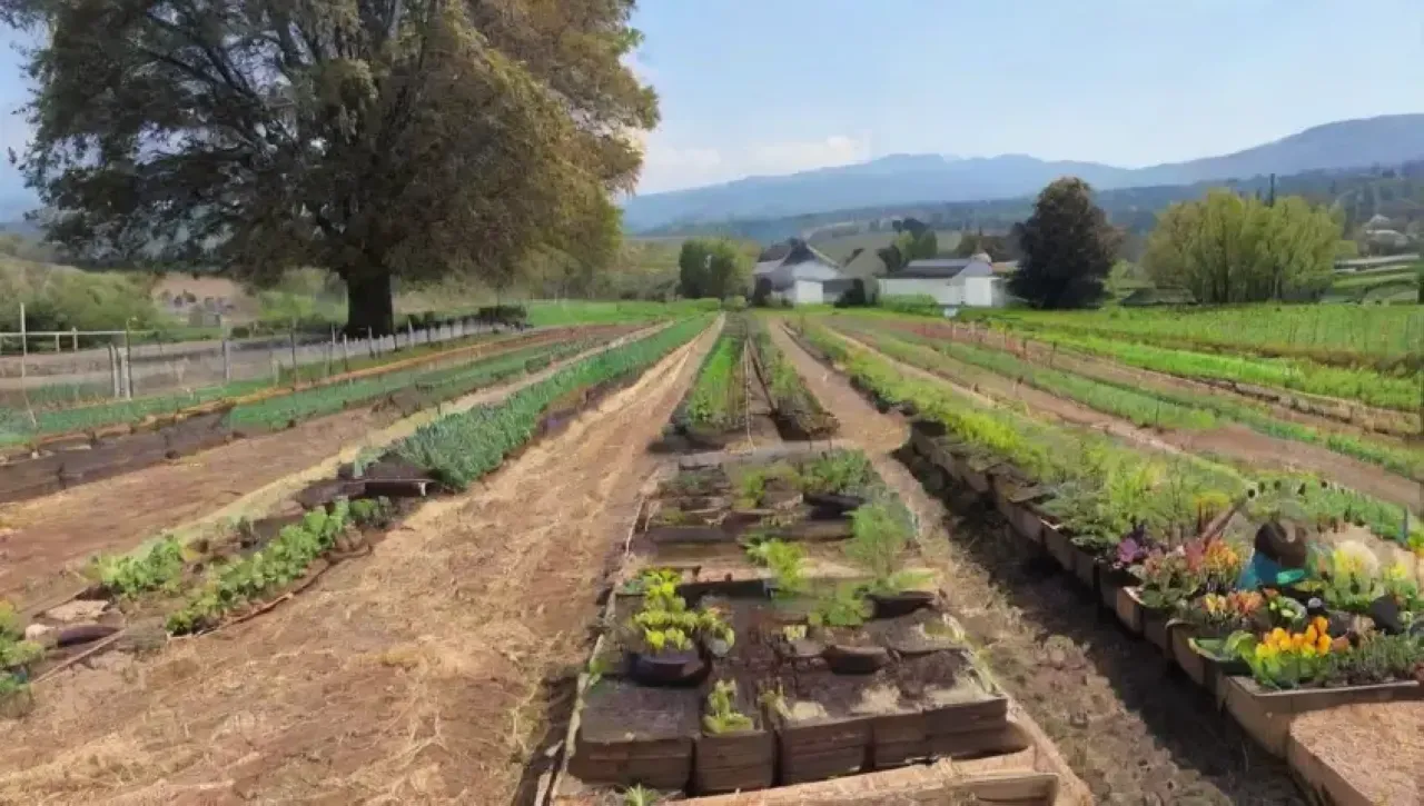 Un paisaje agrícola vibrante con cultivos, flores, y la armonía de las estaciones