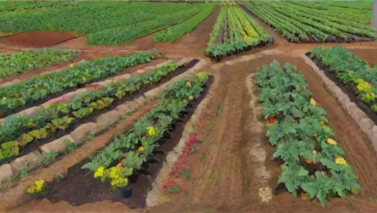 Un vibrante ecosistema agrícola combina plantas, cultivos, tecnología y naturaleza bajo un cielo azul