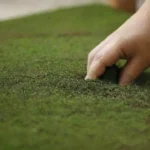 Cómo hacer sustrato a partir de residuos agrícolas