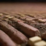 Cuánto tiempo tarda un inóculo en colonizar un sustrato