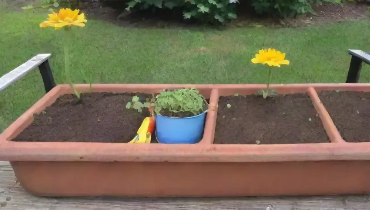 Un jardín vibrante lleno de vida y color