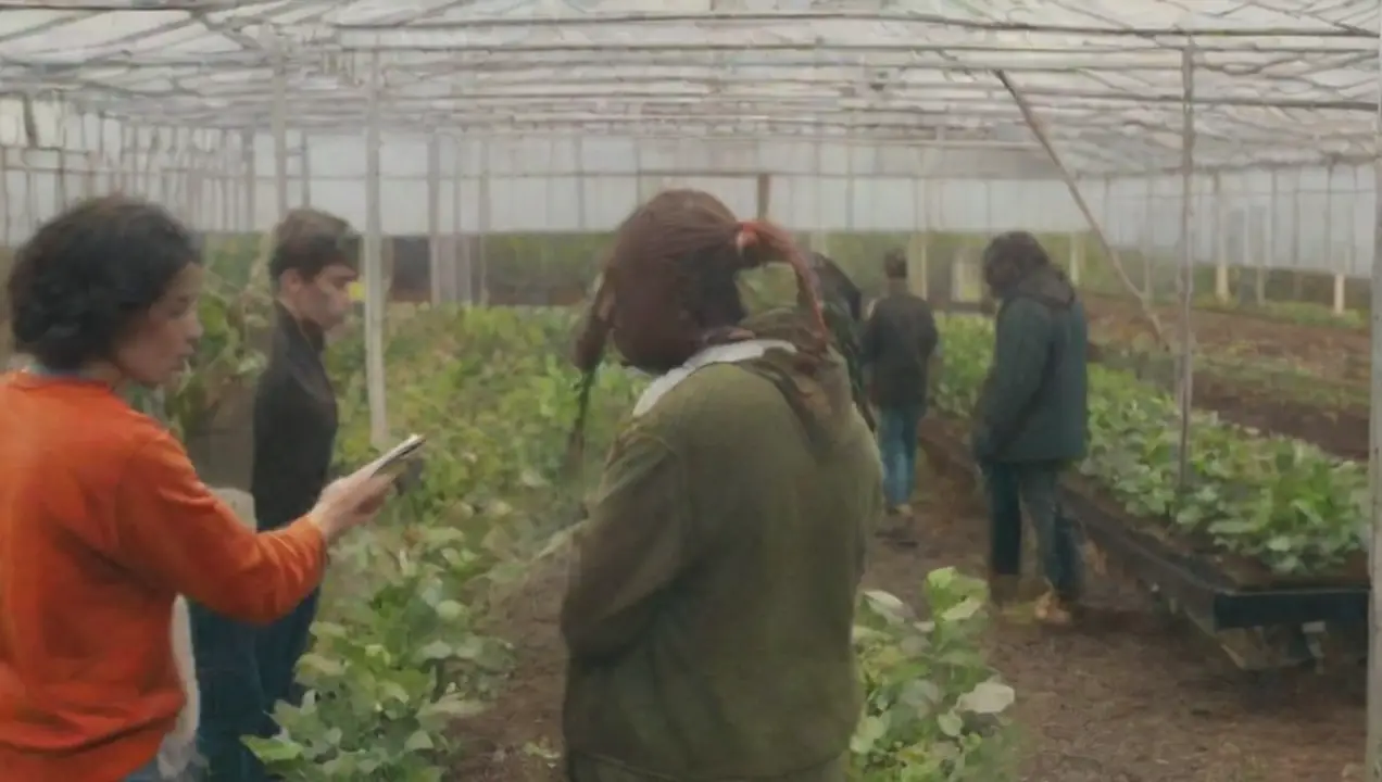 Uso de plataformas digitales para la comunicación de Creación de comunidades sobre cultivo en invernaderos