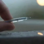 Inoculación en condiciones adversas: factores a considerar