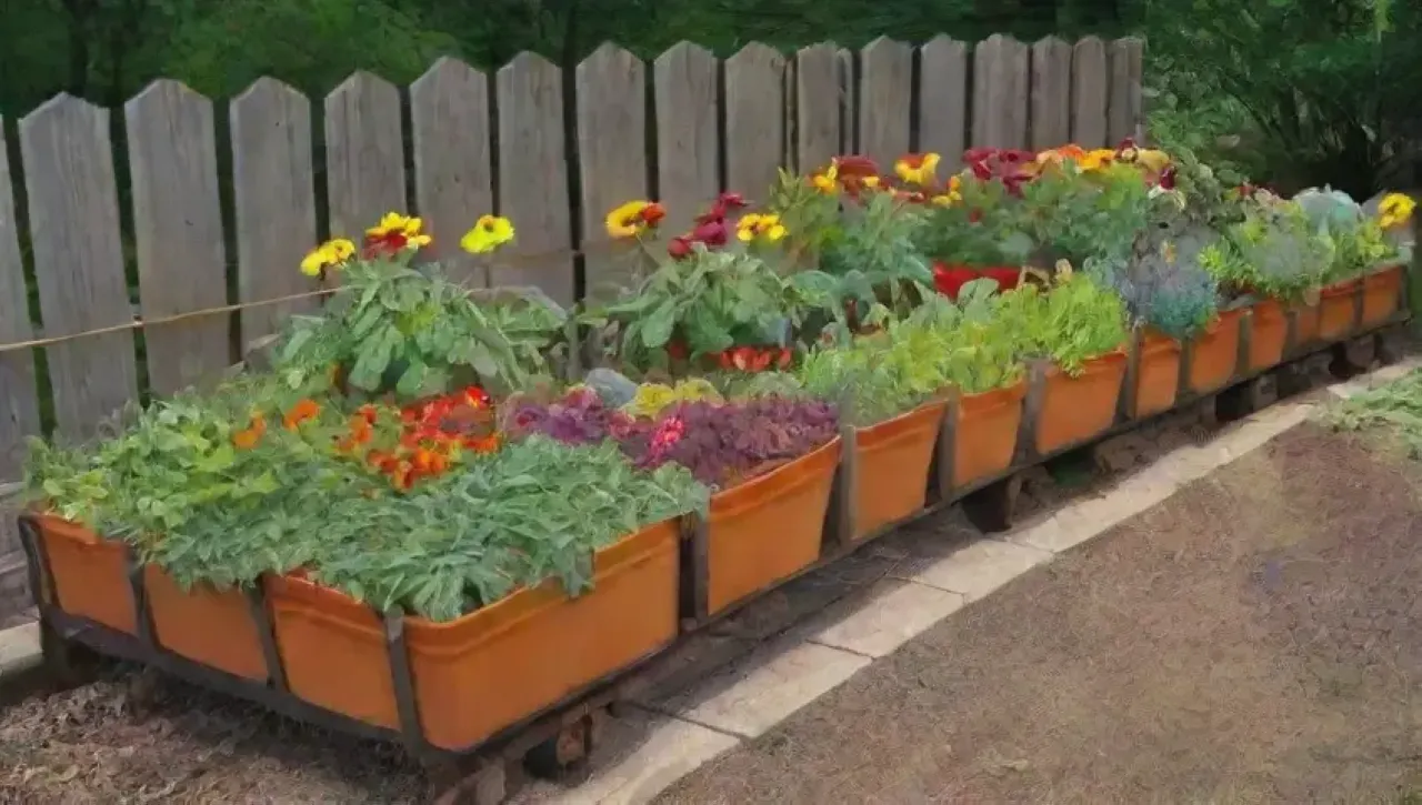 Un jardín vibrante y lleno de vida