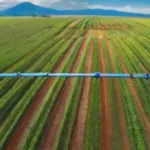 Qué rol juegan los drones en la gestión del riego agrícola automatizado