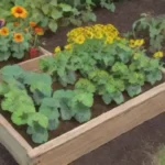 Cómo elegir las mejores plantas compañeras para tu huerto