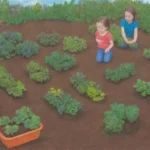 Jardines escolares fomentan la creatividad y el trabajo en equipo en la exploración de la naturaleza