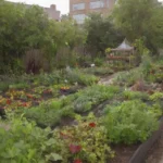 Jardín urbano vibrante con plantas diversas y colaboración comunitaria en prácticas sostenibles