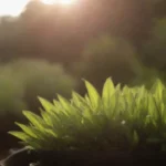 Errores comunes como mala iluminación