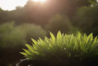 Errores comunes como mala iluminación