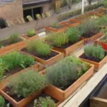 En qué consiste el concepto de agricultura urbana y reciclaje
