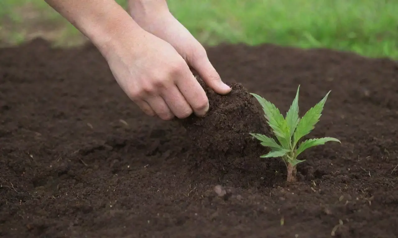 Técnicas de jardinería y cuidado ambiental