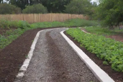 Técnicas de ahorro de agua y prácticas sostenibles para una agricultura eficiente