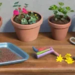 Qué hacer si las semillas no germinan en tus semilleros