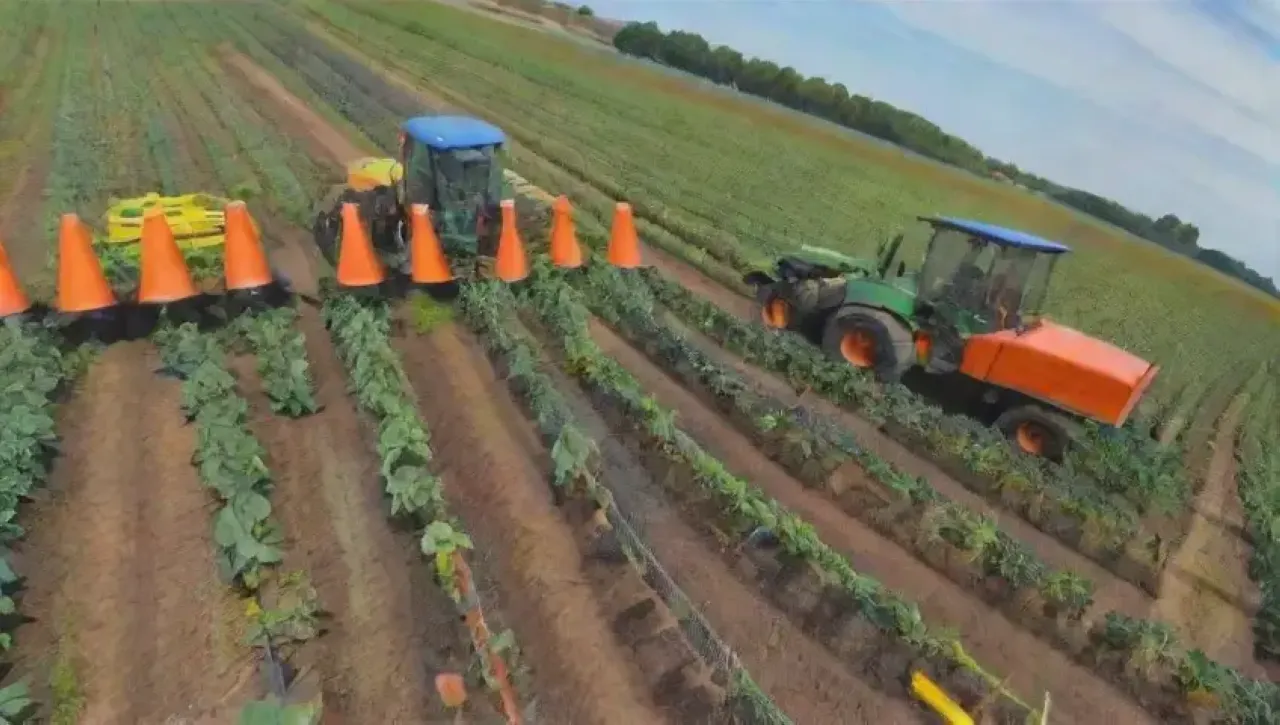 Campos verdes vibrantes con tecnología agrícola moderna y agricultores en acción