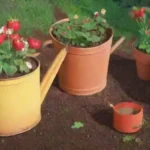 Cuándo es el momento ideal para plantar fresas en tu jardín