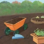Cómo saber si es el momento adecuado para sembrar zanahorias