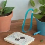 Se deben realizar tratamientos preventivos tras el injerto