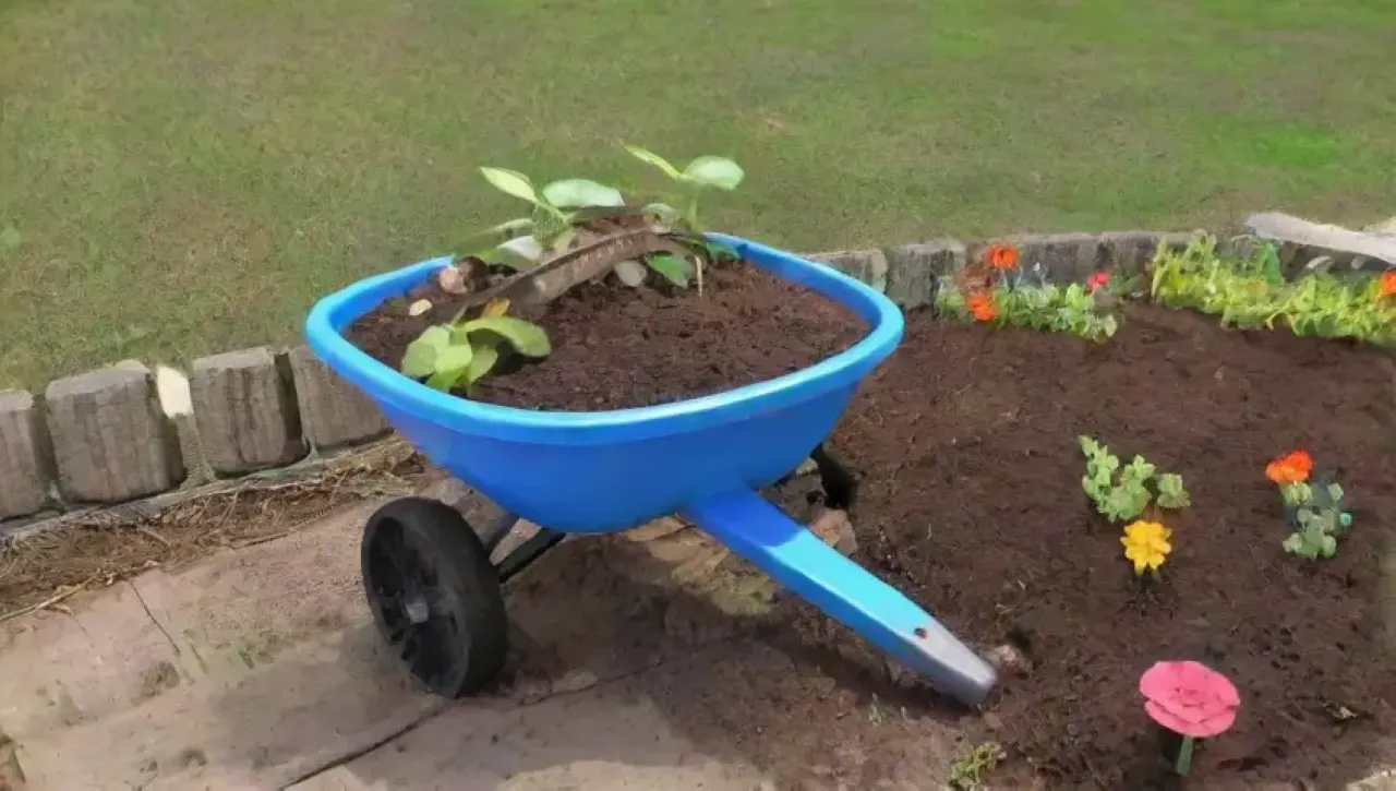 Un jardín vibrante y armonioso lleno de vida y colores