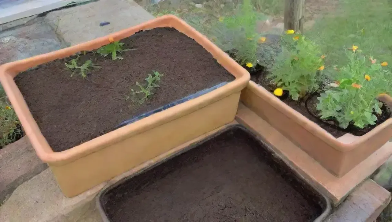 Un jardín vibrante lleno de plántulas, herramientas y un ambiente acogedor