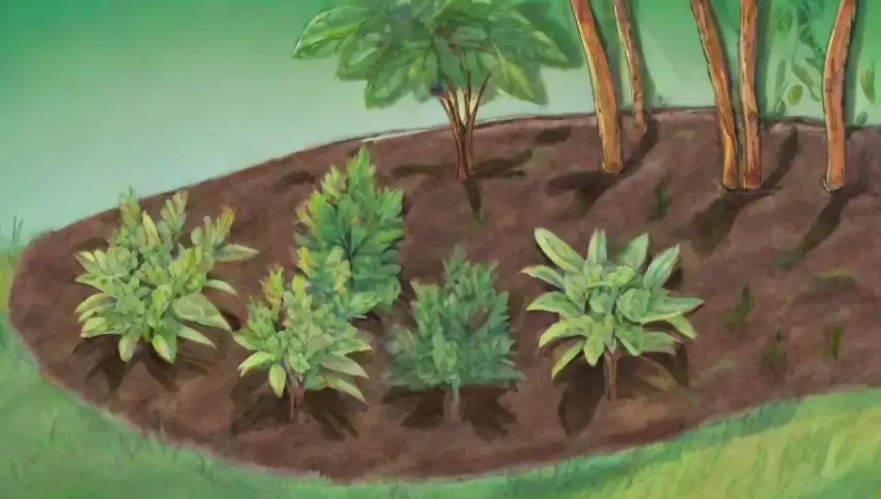 Un vibrante ecosistema de plantas saludables bajo un cielo azul