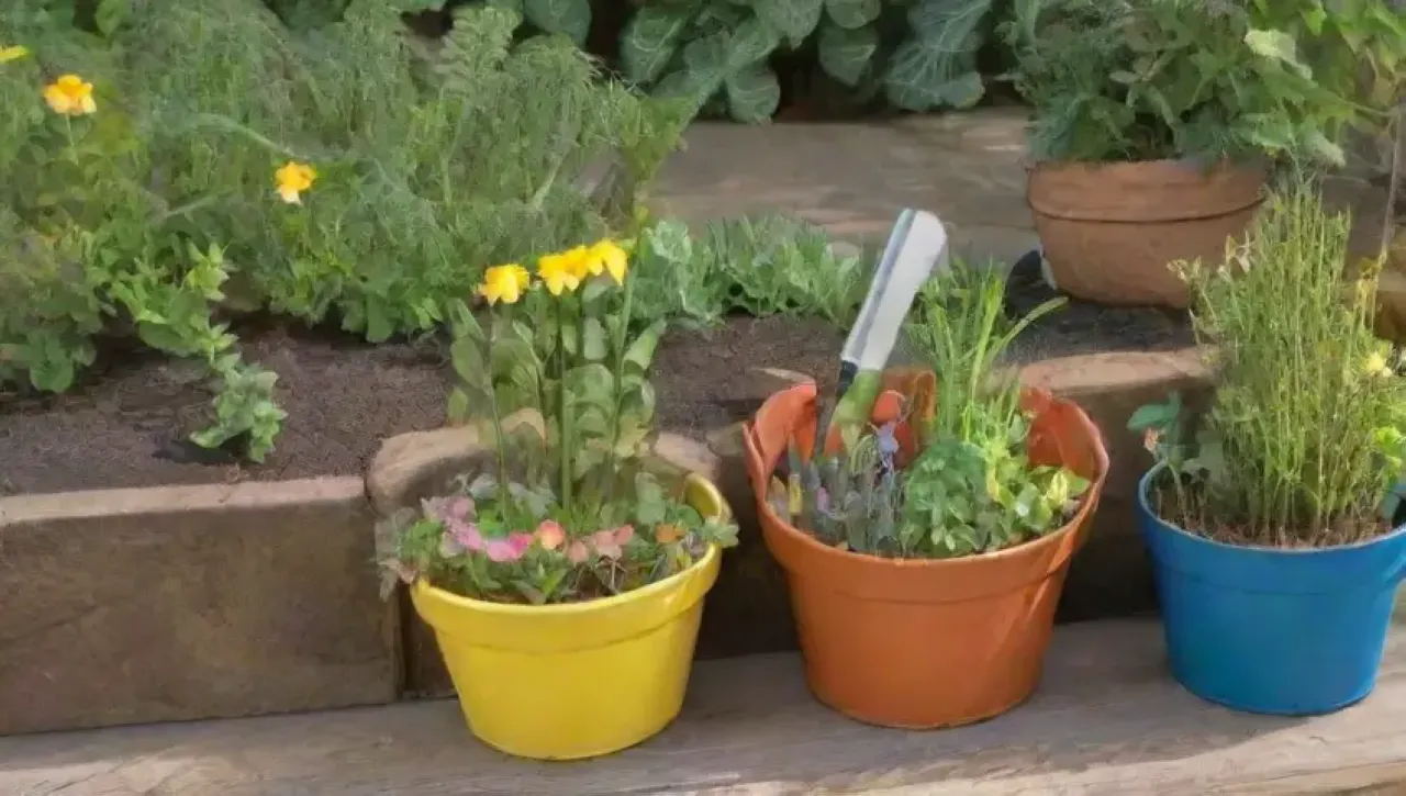 Un jardín vibrante lleno de vida y color