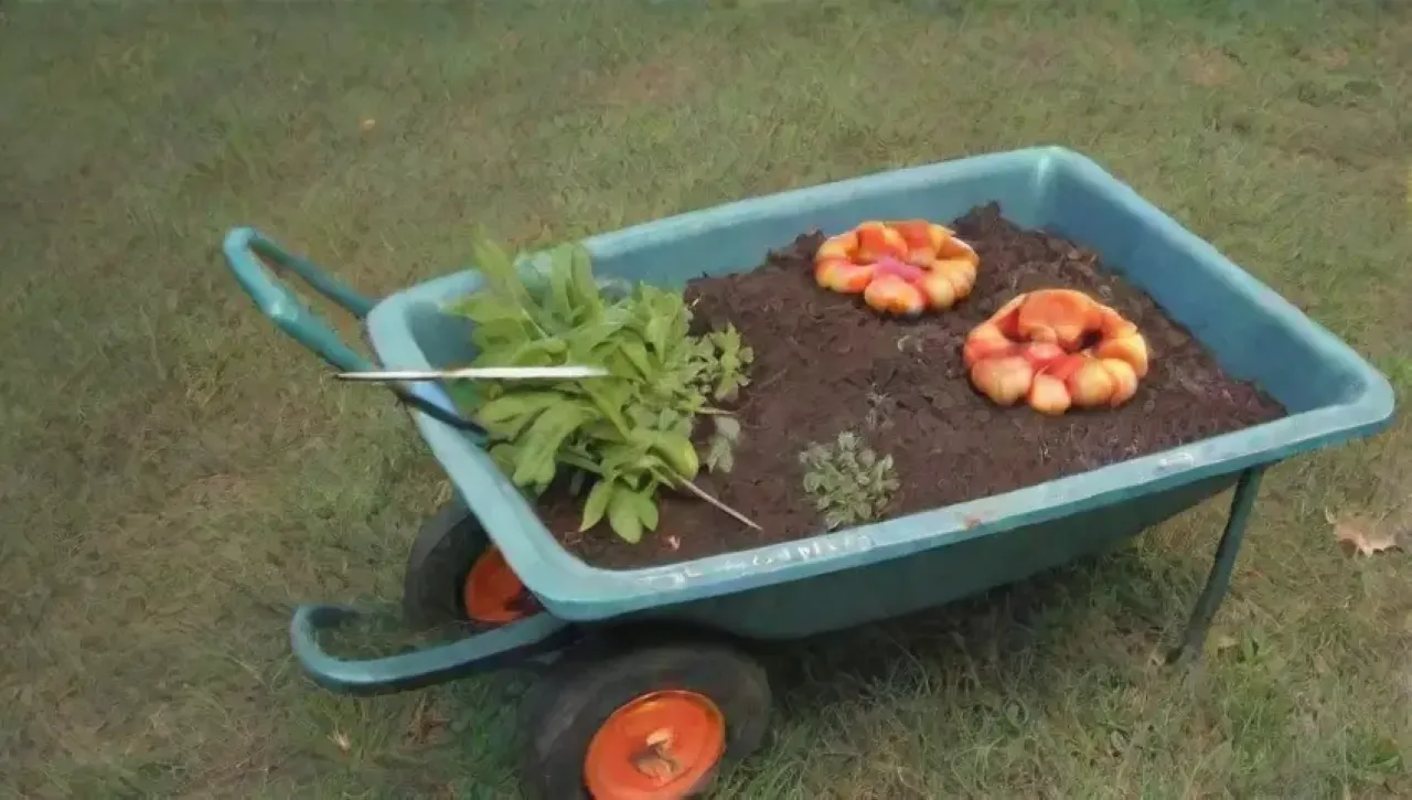 Un jardín vibrante con compost, herramientas y plantas