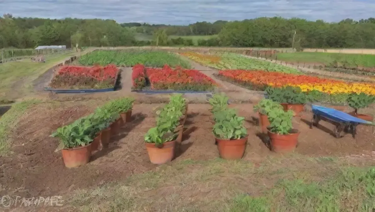 Un jardín comunitario vibrante y lleno de vida, con plantas, flores y actividad