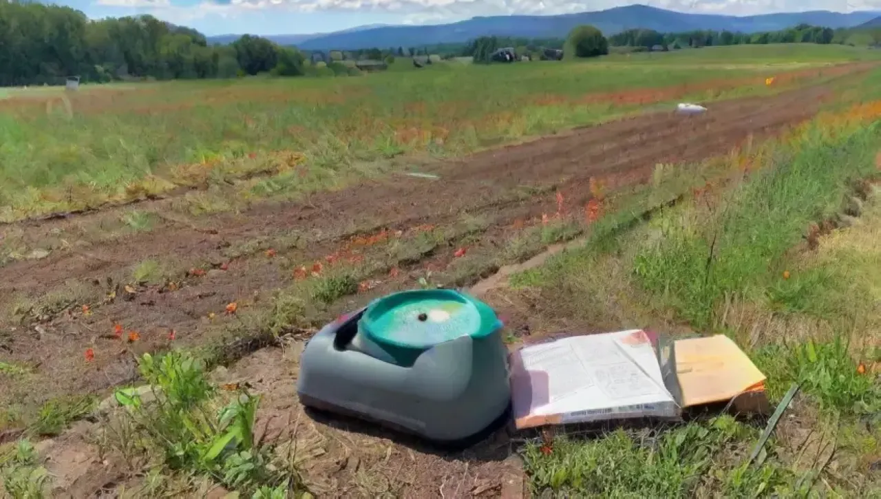 Un taller comunitario sobre el control de plagas en un campo vibrante y soleado