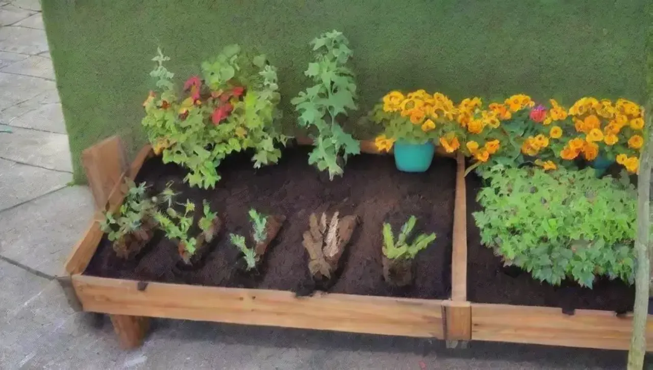 Un vibrante jardín lleno de vida y color