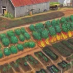 Qué papel tiene la rotación en la producción agrícola sostenible