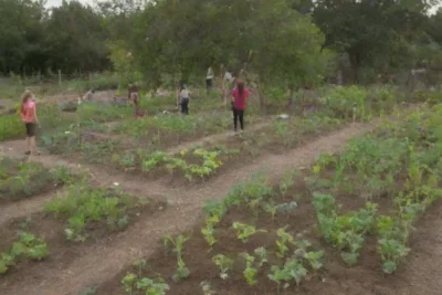 Los jardines escolares conectan a los estudiantes con la naturaleza y promueven la sostenibilidad y el aprendizaje