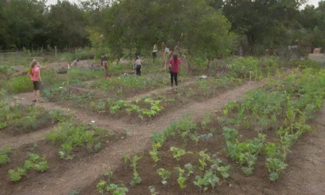Los jardines escolares conectan a los estudiantes con la naturaleza y promueven la sostenibilidad y el aprendizaje