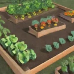 Cómo planificar un huerto de verduras para toda la familia