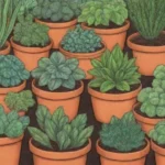 Plantas compañeras promueven un jardín saludable y armonioso