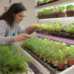 Cómo fomentar una comunidad de cultivadores hidropónicos en línea