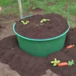 Compost verde crea suelo fértil y un jardín vibrante