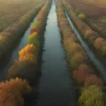 Métodos de análisis para detectar la contaminación ambiental