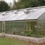 Construcción de invernaderos con materiales reciclados