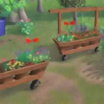 Puede el injerto ayudar a optimizar el uso del espacio en jardinería