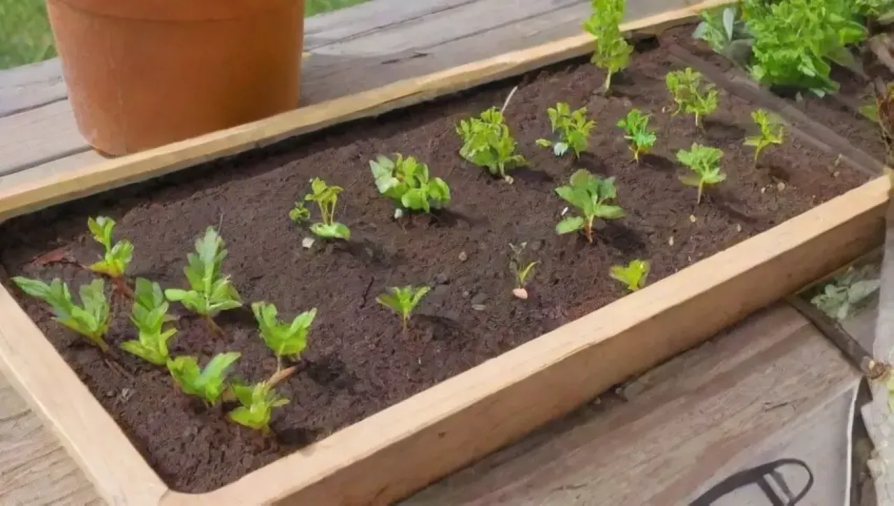 Un jardín vibrante con herramientas de injerto, plantas en crecimiento y jardineros concentrados