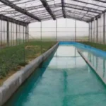 Reciclaje del agua en invernaderos: técnicas y beneficios sostenibles