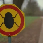 Signos de infestación por trips: cómo detectarlos y tratarlos