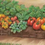 Qué abono vegetal ayuda más a los cultivos otoñales