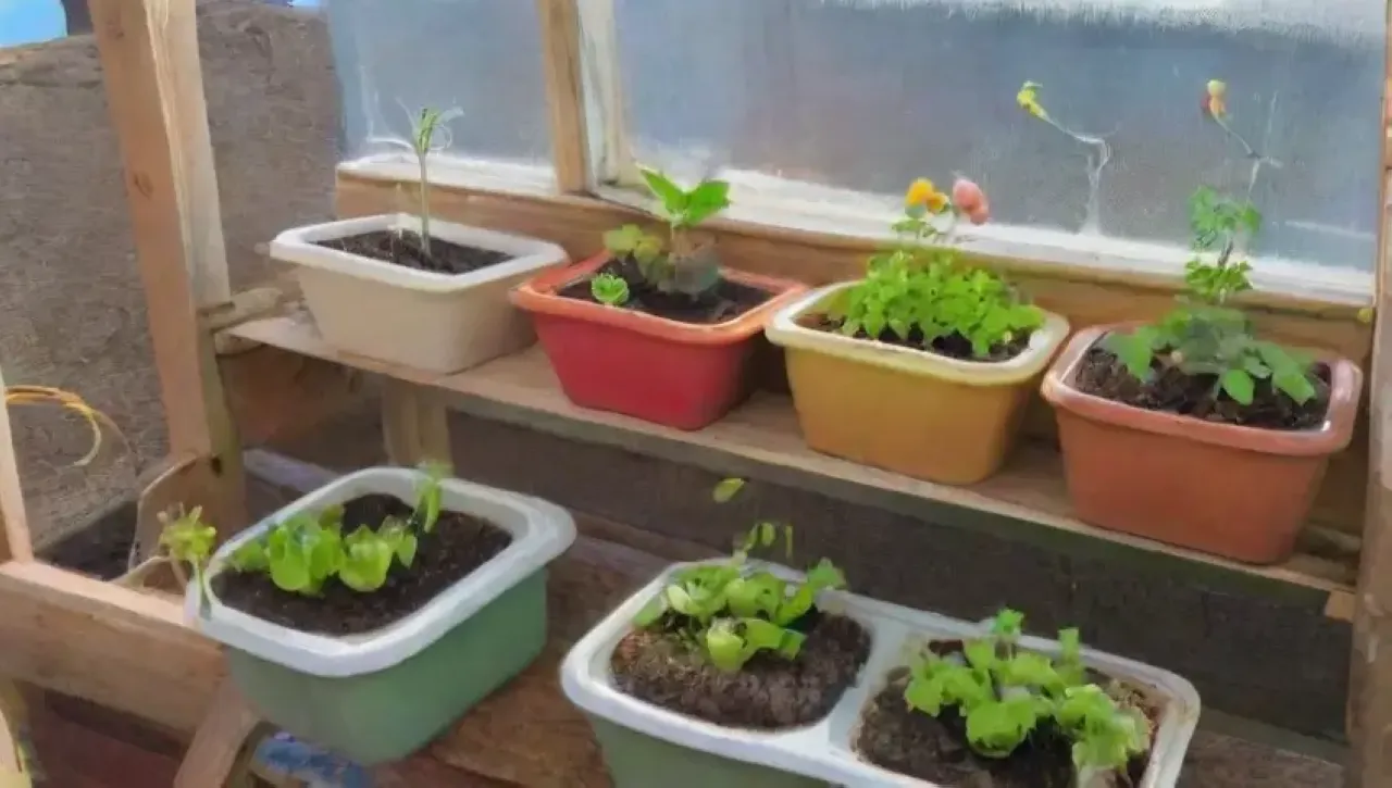 Un jardín vibrante y acogedor florece en medio del frío invernal